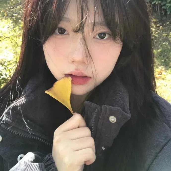 圣诞访客